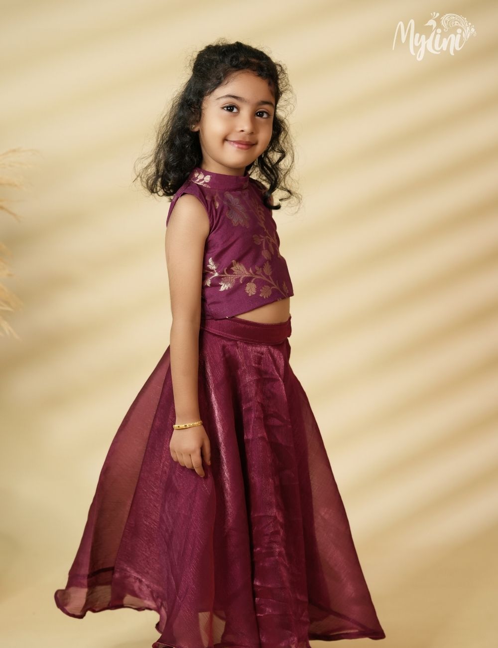 Royal Purple Banarasi dress - mylini